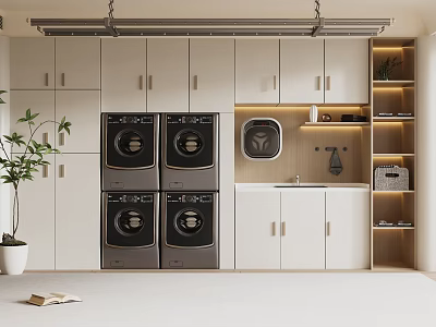 Laundry Room Interior Design With White Cabinets Washing Machines Dryers Small Sink Plant And Shelves 3d model