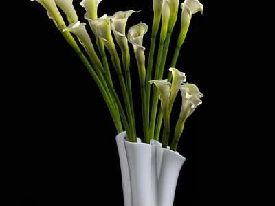 White Modern Vase With White Calla Lilies And Green Stems On Black Background 3d model