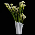 White Modern Vase With White Calla Lilies And Green Stems On Black Background
