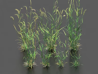 Green Herbaceous Crop Plants With Various Heights And Leaf Shapes Against Dark Background 3d model