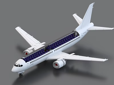 Modern Passenger Airplane Design with White Body Multiple Windows Wings and Engines 3d model