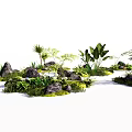 Tropical Greenery Arrangement With Various Plants Rocks And Mossy Ground