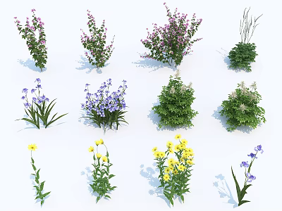 modern plant powder flower 3d model