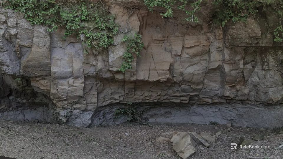 Microtopography Of Rocky Cliff With Lush Vines And Natural Cracks 3d model 
