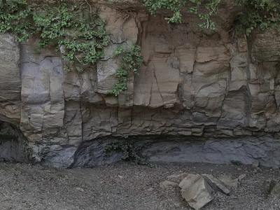 Microtopography Of Rocky Cliff With Lush Vines And Natural Cracks 3d model