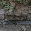 Microtopography Of Rocky Cliff With Lush Vines And Natural Cracks