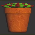 Vibrant Succulent Plant With Green Leaves Red Edges In Orange Terracotta Pot