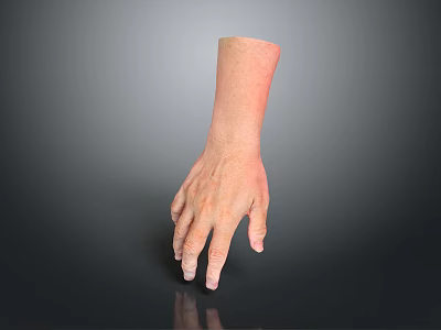 Realistic Human Hand Model Featuring Detailed Skin Texture and Lifelike Fingers 3d model