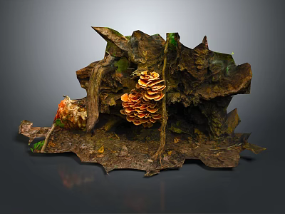 Natural Wood And Stone Decorative Scene With Mushrooms Moss And Tree Roots 3d model