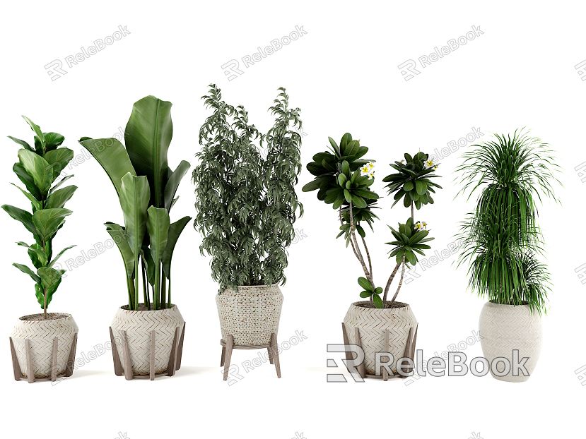 Modern Potted Green Plant Flower Pot model