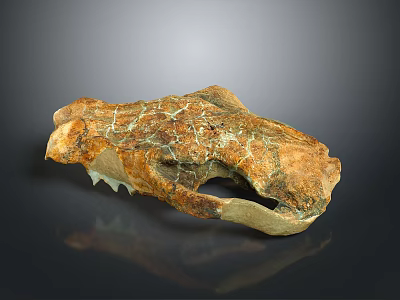 Natural Stone and Wood Carved Skull Sculpture with Intricate Cracked Texture 3d model