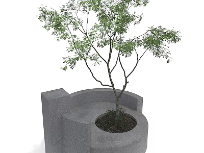 Modern Curved Concrete Tree Planter With Slender Tree Trunk And Green Leaves 3d model