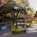 Serene Garden Landscape Design With Lush Trees Trimmed Hedges Stone Pathways and Seating