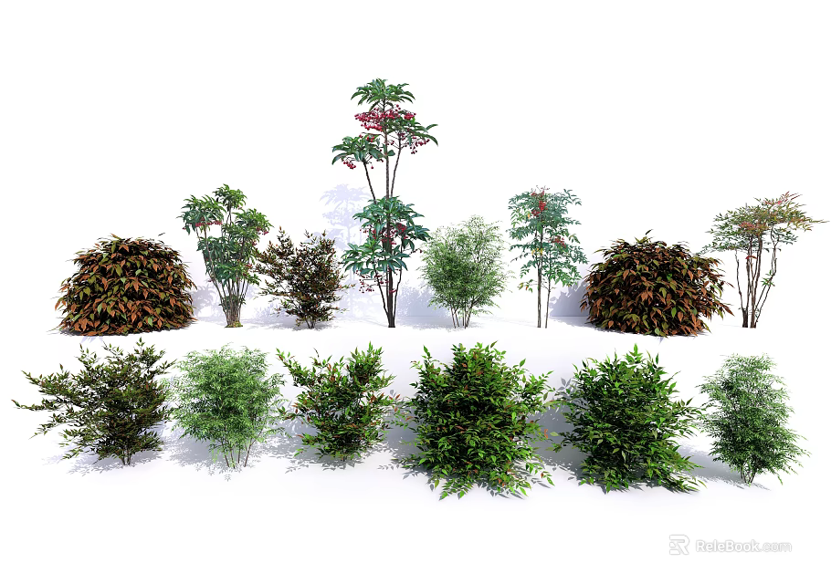 Various Green Shrubs With Diverse Foliage For Garden Landscape Design 3d model 