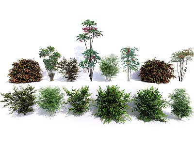Various Green Shrubs With Diverse Foliage For Garden Landscape Design 3d model
