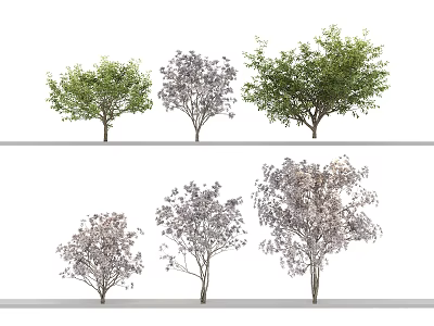 Various Types of Arbor Trees With Green And Purple Foliage For Landscaping Design 3d model