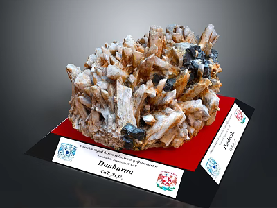Natural Damburite Mineral Crystal Specimen Showcasing Texture On Labeled Display Base 3d model