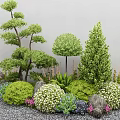 Lush Shrubs In Decorative Garden Landscape With Rocks Gravel And Various Green Plants