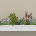 Vibrant Purple Pink Flowers and Green Foliage Decorative Arrangement on White Shelf