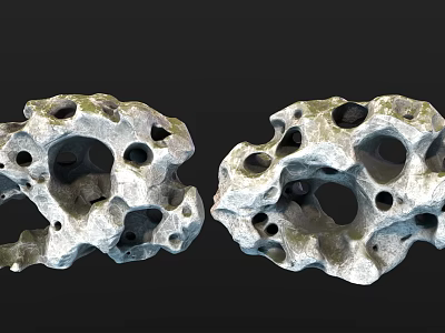 Natural Porous Stone and Wood Decorative Ornaments with Unique Gray Black Textures 3d model