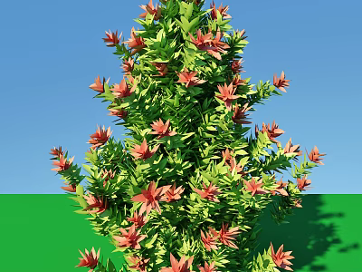 Lush Green Shrub With Red Flowers Growing Against Blue Sky And Green Ground 3d model
