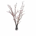 Clear Glass Vase With Decorative Flowering Branches And Pink Blooms for Home Decoration