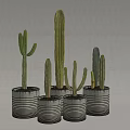 Indoor Decorative Cactus Potted Plants in Striped Metal Pots Against Light Colored Wall