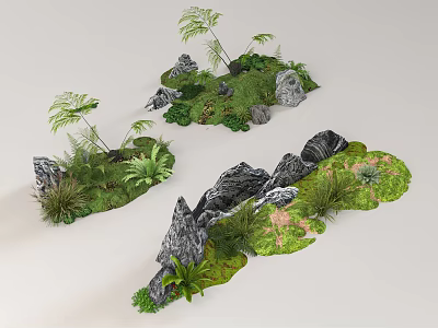 Landscape Display With Rocks Green Plants And Moss 3d model
