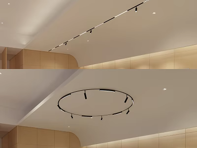 Modern Interior Ceiling Design With Linear And Circular Downlights And Spotlights Layout 3d model