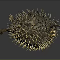 3D Rendered Yellow And Black Pufferfish With Sharp Spines On Dark Background