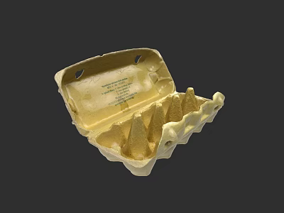 Open Paper Egg Carton With Six Slots For Fresh Farm Eggs 3d model