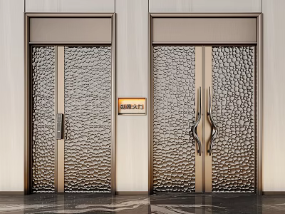 Modern Double Entrance Doors With Metal Textured Surface And Gold Accents On Frames And Handles 3d model