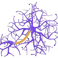 Medical Device 3D Neuron Model with Complex Branches and Yellow Axon for Neuroscience Research