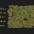 Various Green Herbaceous Plants With Different Heights In Outdoor Landscape Arrangement