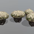Set of Four Natural Mushroom Shaped Wooden Stone Decorative Pieces With Textured Surface