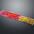Vibrant Mixed Fruits Arranged in Colorful Rows on Display Tray
