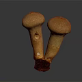 Modern matsutake mushroom straw mushroom 3d model