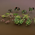 Diverse Green And Colorful Foliage Plants Arranged On Brown Background Surface