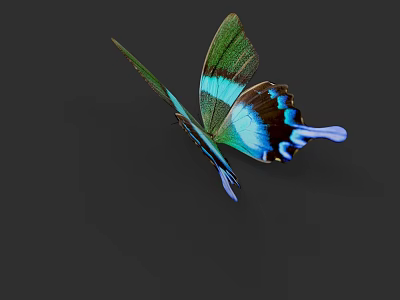 Vibrant Green Blue And Black Winged Butterfly Flying On Dark Background 3d model