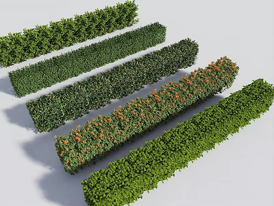 Trimmed Garden Shrubs With Various Green Foliage And Orange Accents For Landscaping 3d model