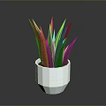 White Geometric Shaped Pot With Green Long Leaf Plant For Home Decor