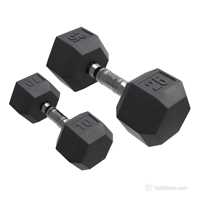 Black Hexagonal Dumbbells For Fitness Equipment With 10 And 25 Weight Training Plates 3d model 