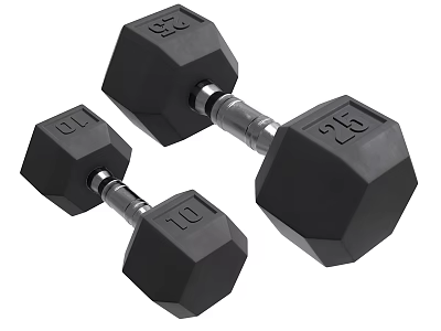 Black Hexagonal Dumbbells For Fitness Equipment With 10 And 25 Weight Training Plates 3d model