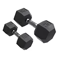 Black Hexagonal Dumbbells For Fitness Equipment With 10 And 25 Weight Training Plates