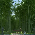 Lush Bamboo Forest With Tall Green Stalks Stone Lanterns And Wooden Table Pathway