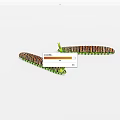 Two Brown And Green Striped Reptiles With Segmented Bodies And Green Head Protrusions