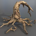 Weathered Tree Root With Gnarled Branches And Natural Wood Texture