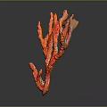 Red Coral Decorative Piece Displaying Branched Structure Against Dark Background