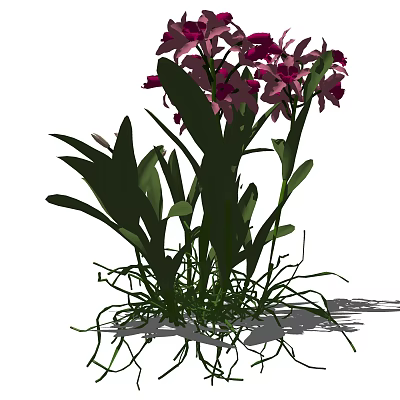 Modern flowers flowers and plants 3d model