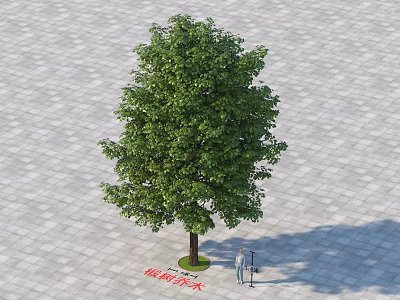Lush Green Arbor With Thick Trunk Standing On Paved Ground With People Figures 3d model